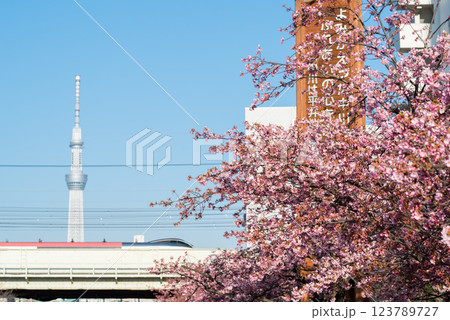 【河津桜】旧中川に咲く早咲きの桜と成田エクスプレス 【河津桜】旧中川に咲く早咲きの桜と成田エクスプレス 123789727