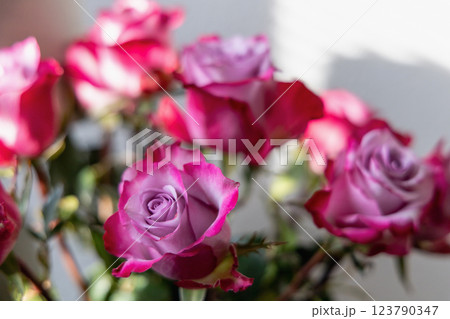 Romantic bouquet of beautiful fresh roses 123790347