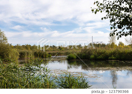Beautiful landscape with lake in forest on autumn day Beautiful landscape with lake in forest on autumn day 123790366