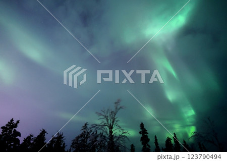 オーロラの見える景色 123790494