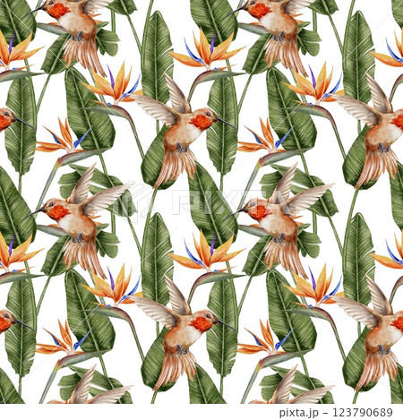 Hummingbird, strelitzia, and tropical leaves palm seamless pattern hand drawn on white. Watercolor illustration for textile, fabric, wallpaper, card, packaging, party. 123790689