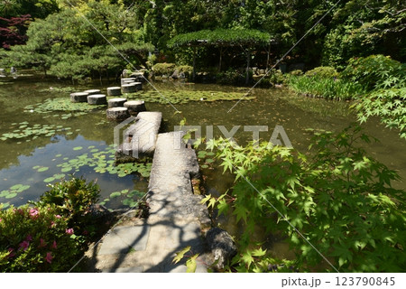 京都 平安神宮 臥龍橋 京都 平安神宮 臥龍橋 123790845