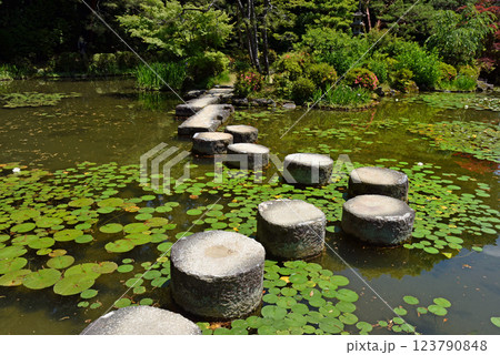 京都 平安神宮 臥龍橋 京都 平安神宮 臥龍橋 123790848