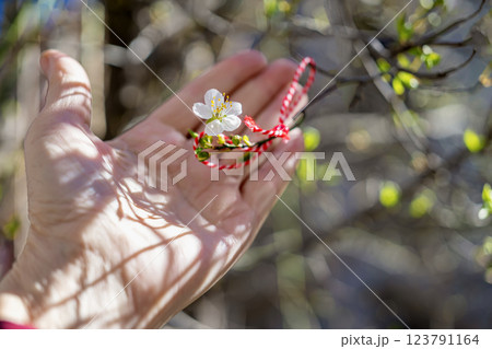 Hand holding a blossoming tree branch with a traditional Bulgarian Martenitsa bracelet, symbolizing spring and new beginnings. Cultural ritual for good luck and prosperity in early spring Hand holding a blossoming tree branch with a traditional Bulgarian Martenitsa bracelet, symbolizing spring and new beginnings. Cultural ritual for good luck and prosperity in early spring 123791164