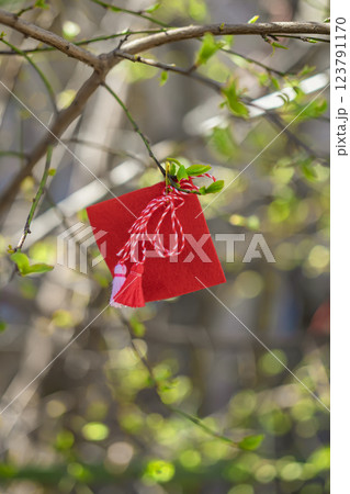 Red Martenitsa decoration on tree branch in early spring. Bulgarian tradition of welcoming new season, spring and renewal. Cultural tradition for good health and prosperity 123791170