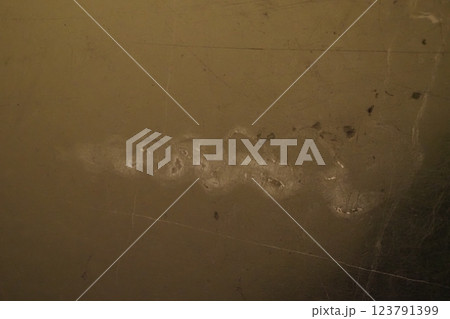 歴史的建造物の大理石の床の化石 歴史的建造物の大理石の床の化石 123791399