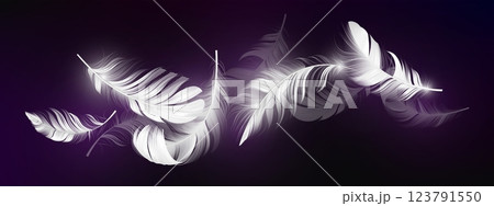 3D falling feathers on deep purple background. 3D falling feathers on deep purple background. 123791550