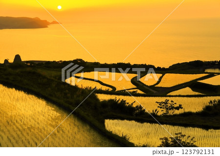 【山口県】東後畑棚田の夕焼け 123792131