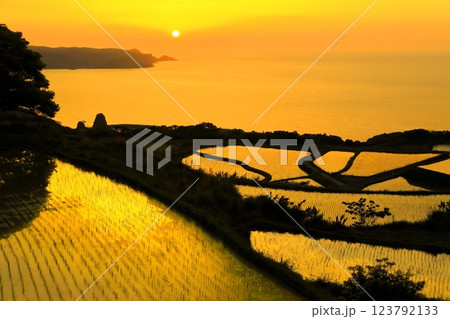 【山口県】東後畑棚田の夕焼け 【山口県】東後畑棚田の夕焼け 123792133