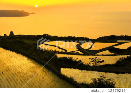 【山口県】東後畑棚田の夕焼け 【山口県】東後畑棚田の夕焼け 123792134