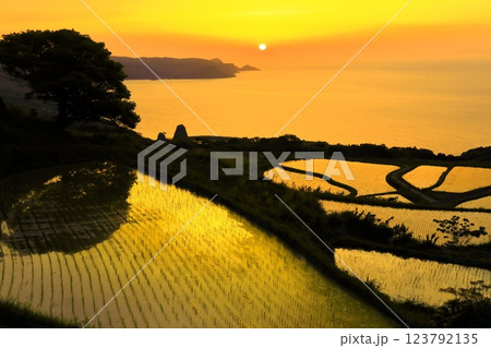 【山口県】東後畑棚田の夕焼け 123792135