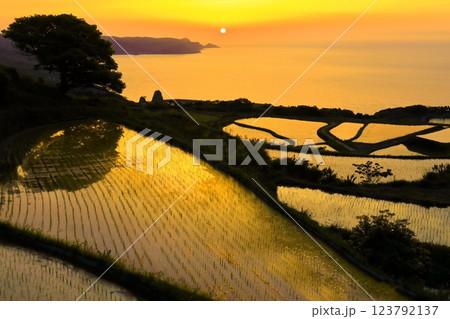 【山口県】東後畑棚田の夕焼け 123792137