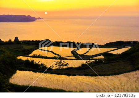 【山口県】東後畑棚田の夕焼け 123792138