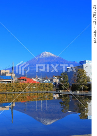 静岡県 富士山世界遺産センターから見る富士山 123792328
