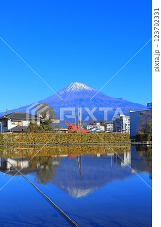 静岡県 富士山世界遺産センターから見る富士山 123792331