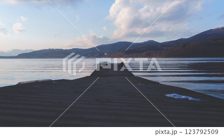 山中湖にいる美しい白鳥と風景 123792509