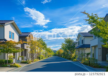 住宅イメージ　モダンな戸建て住宅 123792921