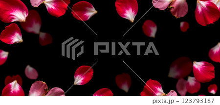 Overlay petals pink red flower frame design background floral romantic decoration love wedding. floral overlay 123793187