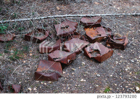 old rusty cans dumped on the forest 123793280