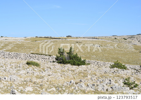 Island Krk Island Krk 123793517