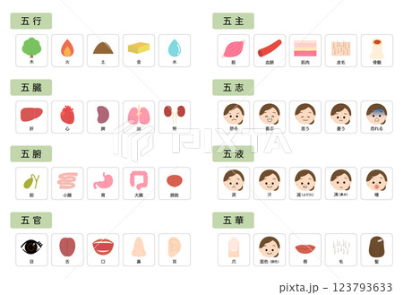 東洋医学　人体の五行分類 123793633