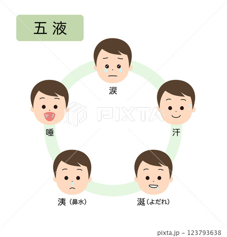 東洋医学　人体の生理病理の五行分類　五液 123793638