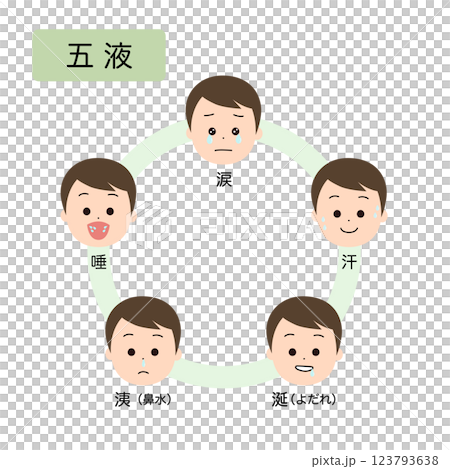 東洋医学　人体の生理病理の五行分類　五液 123793638