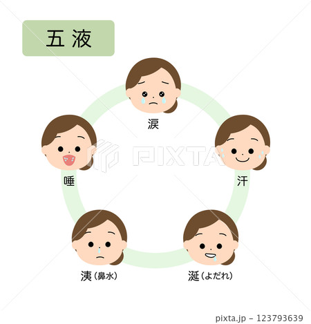 東洋医学　人体の生理病理の五行分類　五液 123793639
