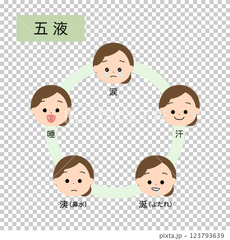 東洋医学　人体の生理病理の五行分類　五液 123793639