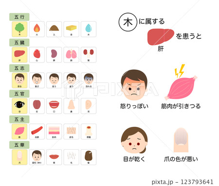 東洋医学　五臓の機能　不調の考え方 123793641