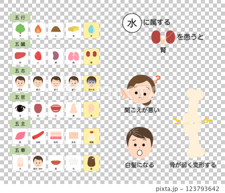 東方醫學：五臟的功能、如何看待疾病 123793642
