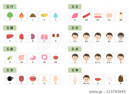 東洋医学　人体の五行分類 123793645