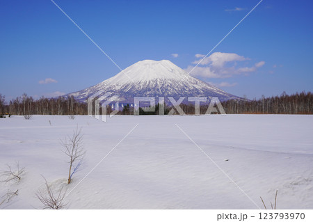 宮田ビューポイントパーキングから見る冬の羊蹄山(2025年3月 宮田ビューポイントパーキングから見る冬の羊蹄山(2025年3月 123793970