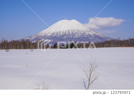 宮田ビューポイントパーキングから見る冬の羊蹄山(2025年3月 宮田ビューポイントパーキングから見る冬の羊蹄山(2025年3月 123793971