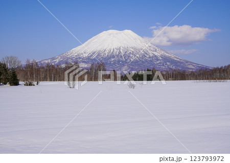 宮田ビューポイントパーキングから見る冬の羊蹄山(2025年3月 宮田ビューポイントパーキングから見る冬の羊蹄山(2025年3月 123793972