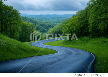 Scenic Curved Road Through Lush Green Forest Under Overcast Sky Generative AI 123794266