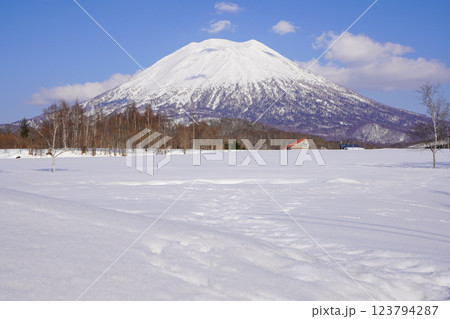 有島記念館付近から見る2025年3月の羊蹄山 123794287