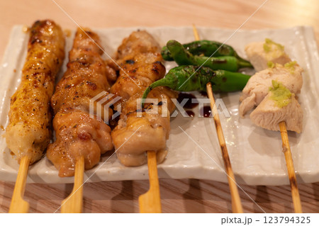 居酒屋の美味しい焼鳥盛り合わせ 居酒屋の美味しい焼鳥盛り合わせ 123794325