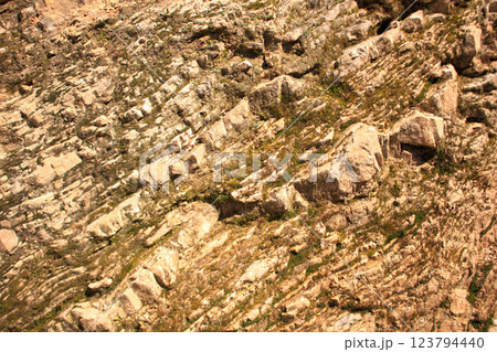 [愛知県]小牧市にある小牧山城の石垣 123794440