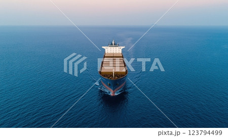 Container ship of ocean concept. Freight Vessel Sailing Across the Open Sea on a Scenic Nautical Journey 123794499