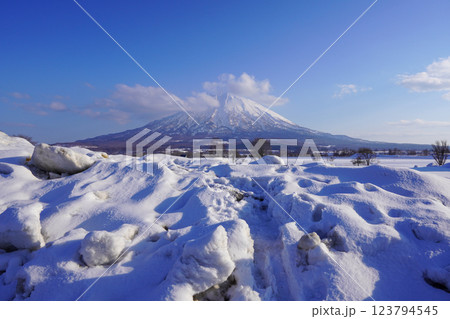 八幡駐車場から見る2025年3月の羊蹄山 123794545