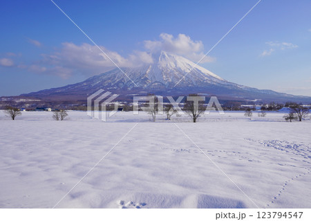 八幡駐車場から見る2025年3月の羊蹄山 123794547