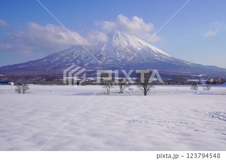 八幡駐車場から見る2025年3月の羊蹄山 123794548