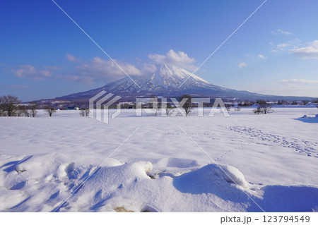 八幡駐車場から見る2025年3月の羊蹄山 123794549