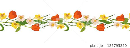 Beautiful seamless border of tulips and daffodils isolated on white background. Red, yellow and white spring flowers, Mother's Day gift. Colorful vector illustration in flat style. Beautiful seamless border of tulips and daffodils isolated on white background. Red, yellow and white spring flowers, Mother's Day gift. Colorful vector illustration in flat style. 123795220
