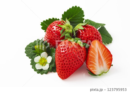 白バックのいちご 123795953