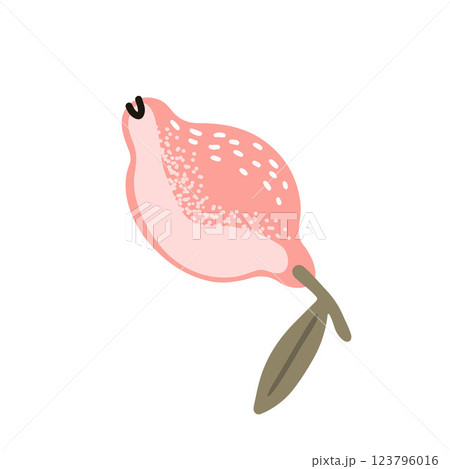 Soft pink abstract lemon on white background, flat style vector illustration	 123796016