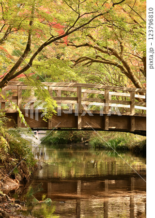 紅葉のある風景 紅葉のある風景 123796810