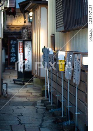 伊香保温泉　石段街のおしゃれな小路（「茶房 てまり」付近） 123797127