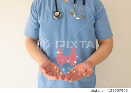 Thyroid gland anatomy on doctor hands. Awareness of thyroid disease such as hyperthyroidism, hypothyroidism, thyroiditis and Hashimoto thyroiditis. World thyroid day. Thyroid gland anatomy on doctor hands. Awareness of thyroid disease such as hyperthyroidism, hypothyroidism, thyroiditis and Hashimoto thyroiditis. World thyroid day. 123797498